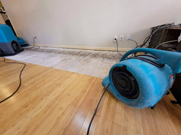 Professional Water Removal technician working in Ormond Beach, FL